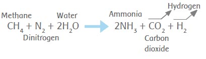 Synthesis of ammonia from methane