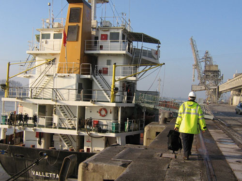 Inspection of a cargo vessel